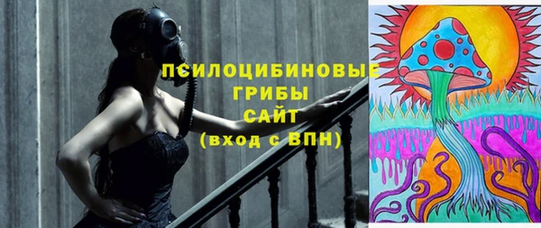 круглые Алзамай