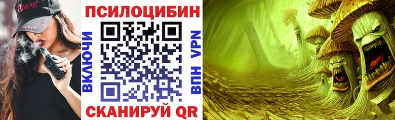 Псилоцибиновые грибы Cubensis  кракен вход  Мыски 